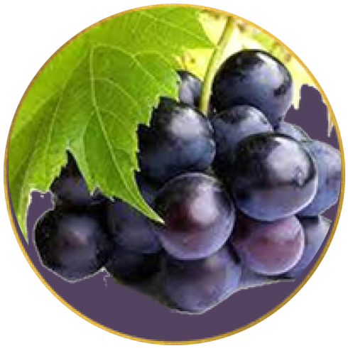 Black Grapes Softech